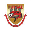 Futsal Team Komárno